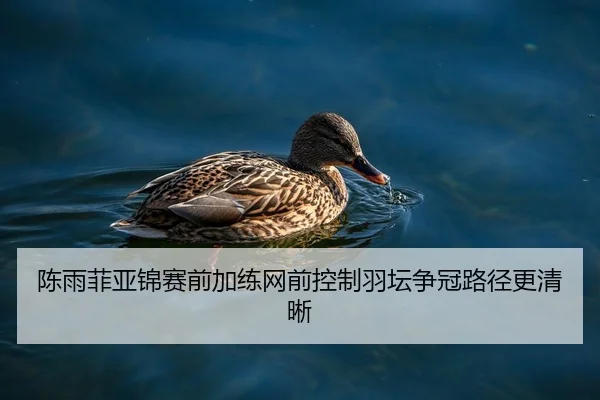 陈雨菲亚锦赛前加练网前控制羽坛争冠路径更清晰